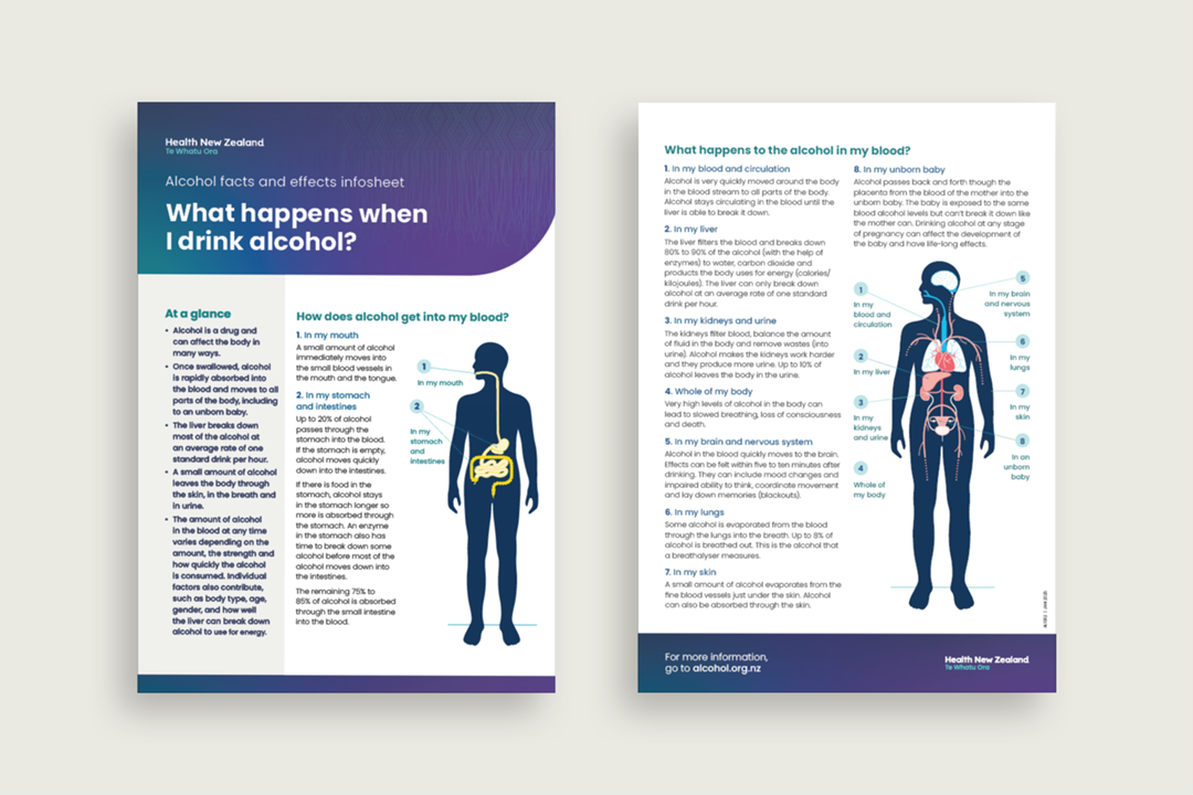 What happens when I drink alcohol? A4 Infosheet