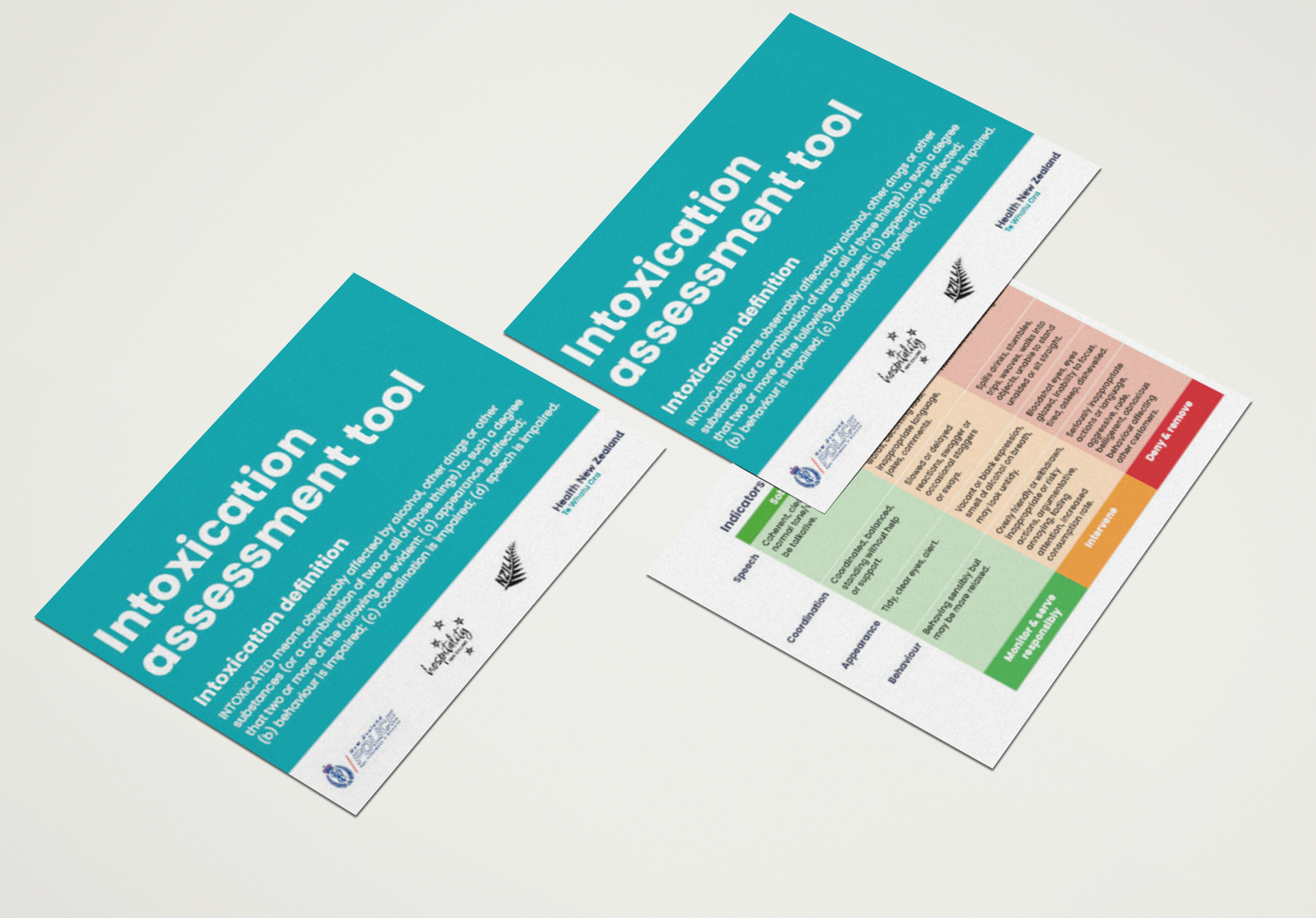 Intoxication Assessment Tool (A6)