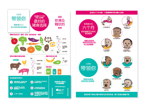 Infant Feeding Guide Z Card - Mandarin