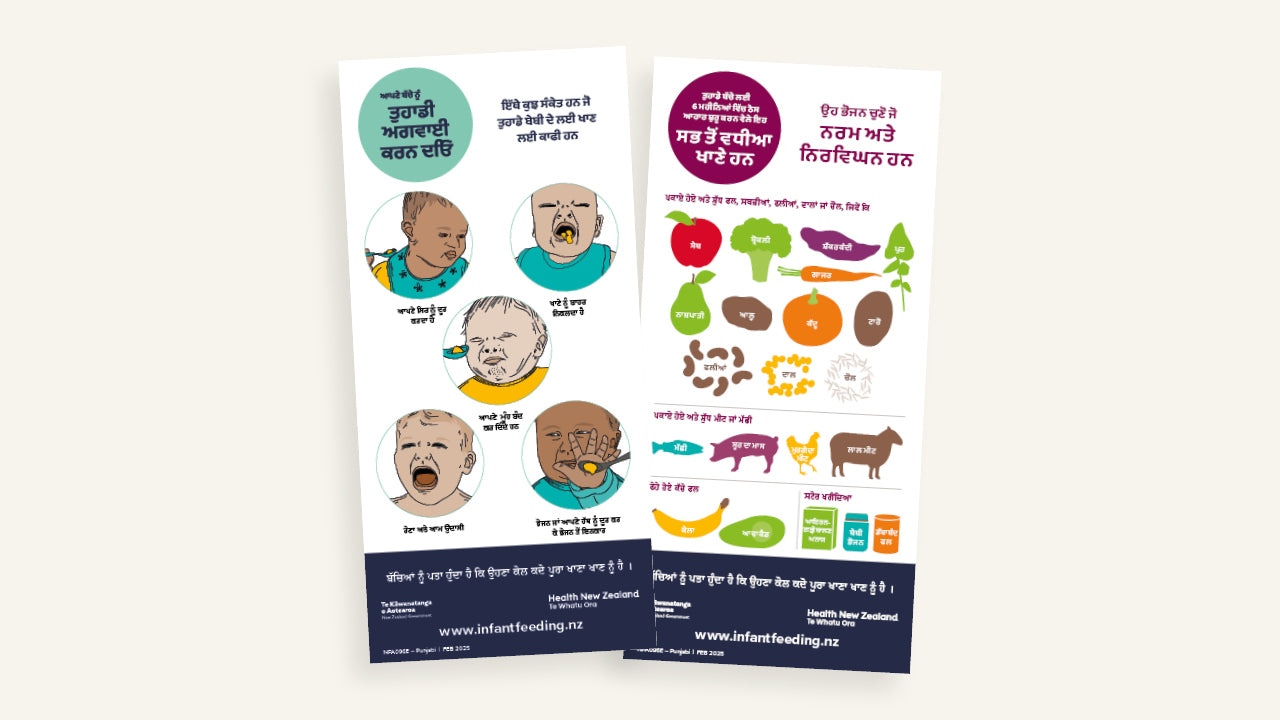 Infant Feeding Fridge Magnets - Punjabi (Set of 2, DL)