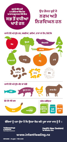 Infant Feeding Fridge Magnets - Punjabi (Set of 2, DL)