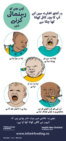 Infant Feeding Fridge Magnets - Urdu (Set of 2, DL)