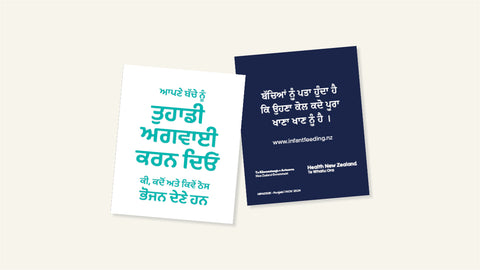 Infant Feeding pull out guide - Punjabi